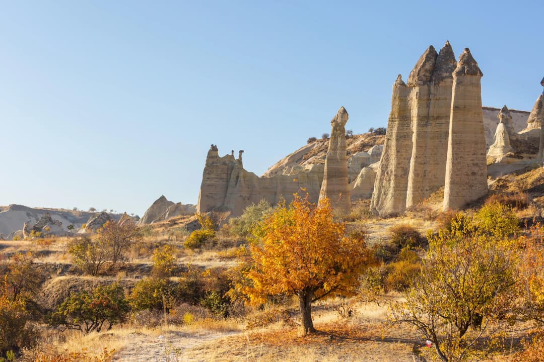 Sabor De Capadocia II